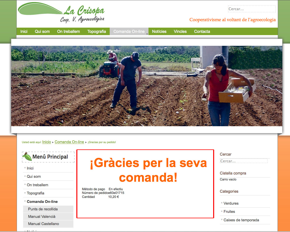 manual compra online verdura ecològica camp de túria